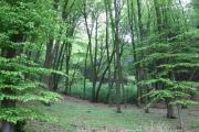 images/Joomgallery/impressionen/Impressionen-1.jpg